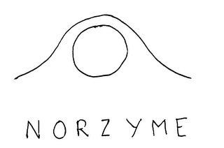 NORZYME logo