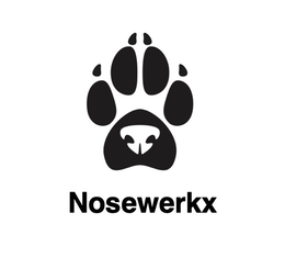 NOSEWERKX logo