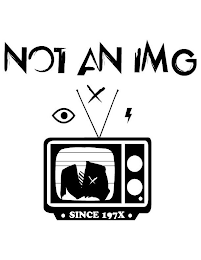 NOT AN IMG, SINCE 197X logo