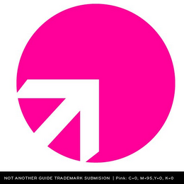 NOT ANOTHER GUIDE logo