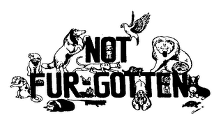 NOT FUR GOTTEN logo