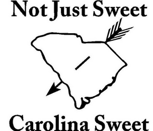 NOT JUST SWEET CAROLINA SWEET logo