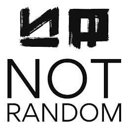 NOT RANDOM logo