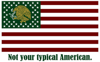 NOT YOUR TYPICAL AMERICAN. logo