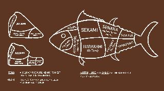 NOTEN SEKAMI SENAKA (HIGHEST QUALITY AKAMI) SESHIMO HARASHIMO HARANAKA (CHU-TORO) HARAKAMI (O-TORO) KAMA-TOTO (BACK CHEEK) HOHO-NIKU (CHEEK) AKAMI RED MUSCLE CHU-TORO (FATTY TUNA) WAKAREMI (HIRE) KAMI (CHU TORO) SHIMOFURI (O-TORO, EXTRA-FATTY) JABARA (O-TORO, EXTRA-FATTY) TORO A DELICACY (THE WORD MEANS "TO MELT") THE FATTIER IT IS, THE BETTER AKAMI THE MOST COMMON SUSHI TUNA, LEAN AND DEEP RED IN COLOR NOTEN, HOHO AND KAMA ARE THE RAREST AND MOST PRIZED CUTS logo
