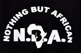 NOTHING BUT AFRICAN N.B.A. logo