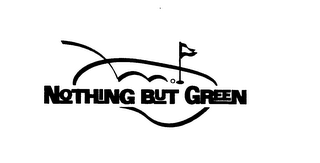 NOTHING BUT GREEN logo