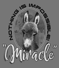 NOTHING IS IMPOSSIBLE! "MIRACLE" logo