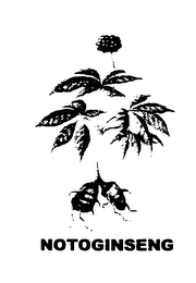 NOTOGINSENG logo