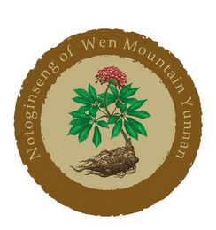 NOTOGINSENG OF WEN MOUNTAIN YUNNAN logo