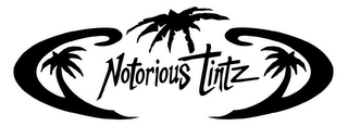 NOTORIOUS TINTZ logo