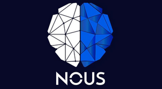 NOUS logo