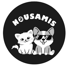 NOUSAMIS logo