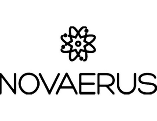 NOVAERUS logo
