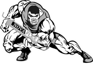 NOVAFLEX logo