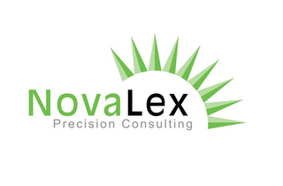 NOVALEX PRECISION CONSULTING logo