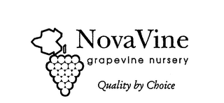 NOVAVINE GRAPEVINE NURSERY QUALITY BY CHOICE logo