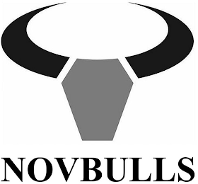 NOVBULLS logo