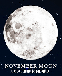 NOVEMBER MOON logo