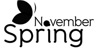 NOVEMBER SPRING logo