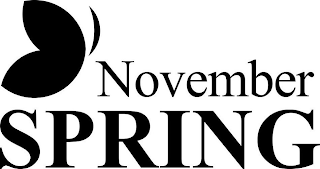NOVEMBER SPRING logo