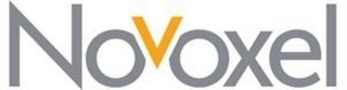 NOVOXEL logo