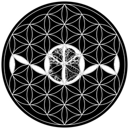 NOW logo