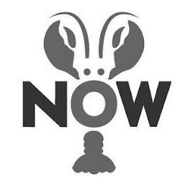 NOW logo