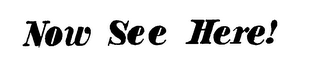 NOW SEE HERE! logo