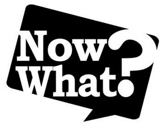 NOW WHAT? logo