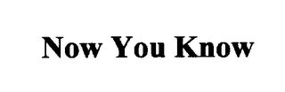 NOW YOU KNOW logo