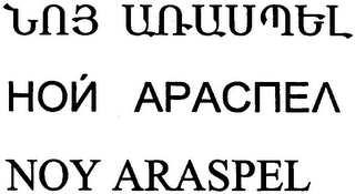 NOY ARASPEL logo