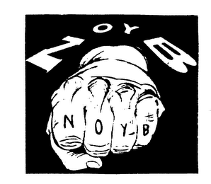 NOYB logo