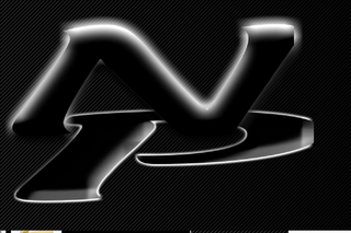 NP logo