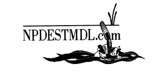 NPDESTMDL.COM logo