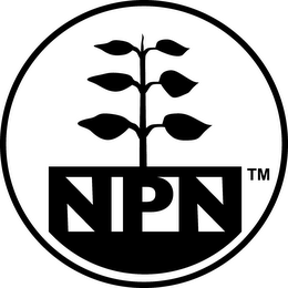 NPN logo