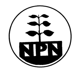 NPN logo