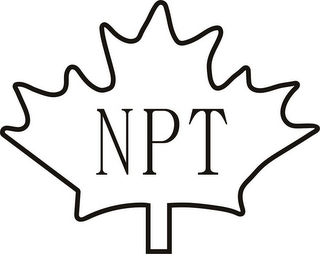 NPT logo
