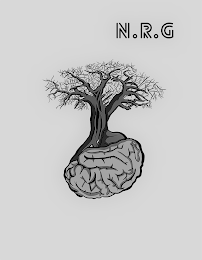 N.R.G logo