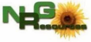 NRG RESOURCES logo