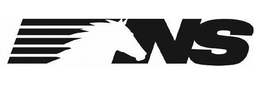NS logo