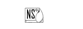 NS logo