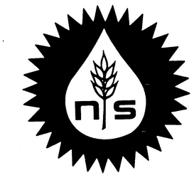 NS logo