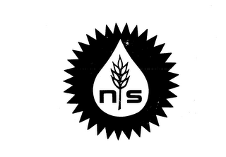 NS logo