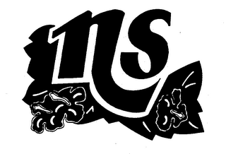 NS logo