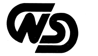 NS logo
