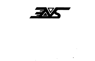 NS logo