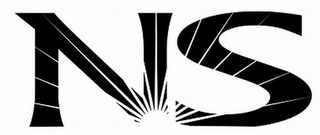 NS logo