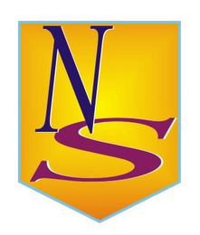 NS logo