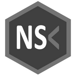 NS logo